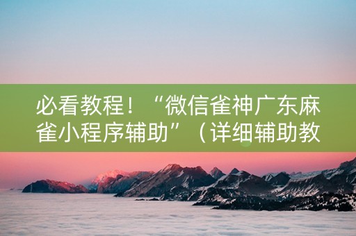 必看教程！“微信雀神广东麻雀小程序辅助”（详细辅助教程）-哔哩哔哩