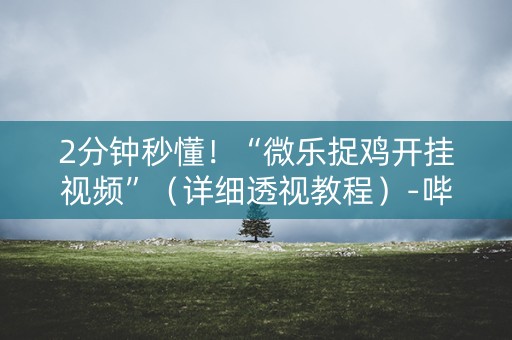 2分钟秒懂！“微乐捉鸡开挂视频”（详细透视教程）-哔哩哔哩