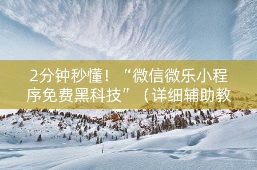 2分钟秒懂！“微信微乐小程序免费黑科技”（详细辅助教程）-哔哩哔哩