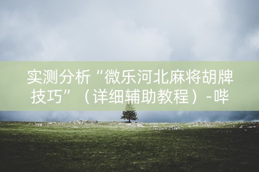 实测分析“微乐河北麻将胡牌技巧”（详细辅助教程）-哔哩哔哩
