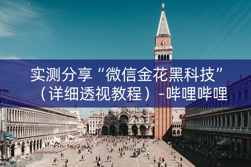 实测分享“微信金花黑科技”（详细透视教程）-哔哩哔哩
