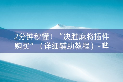 2分钟秒懂！“决胜麻将插件购买”（详细辅助教程）-哔哩哔哩