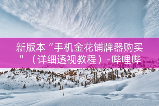 新版本“手机金花铺牌器购买”（详细透视教程）-哔哩哔哩