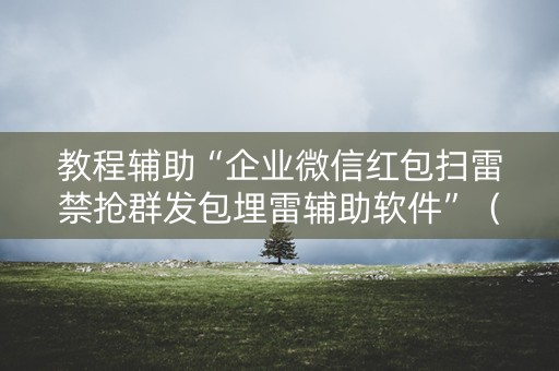 教程辅助“企业微信红包扫雷禁抢群发包埋雷辅助软件”（详细透视教程）-哔哩哔哩