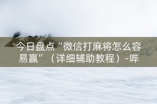 今日盘点“微信打麻将怎么容易赢”（详细辅助教程）-哔哩哔哩
