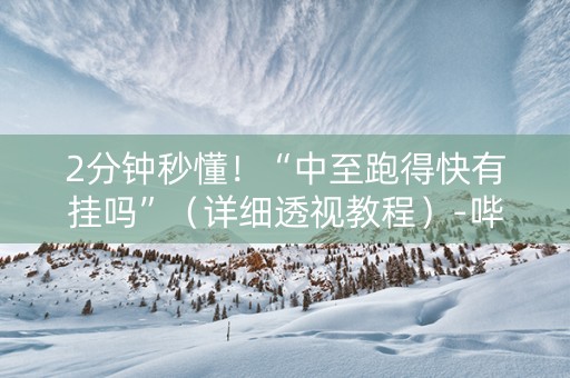 2分钟秒懂！“中至跑得快有挂吗”（详细透视教程）-哔哩哔哩