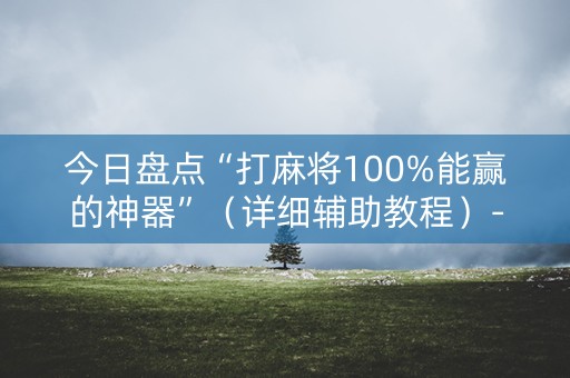 今日盘点“打麻将100%能赢的神器”（详细辅助教程）-哔哩哔哩