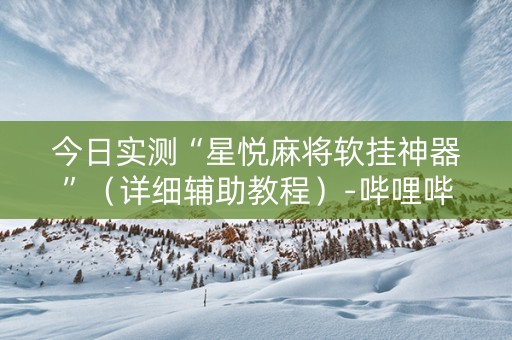 今日实测“星悦麻将软挂神器”（详细辅助教程）-哔哩哔哩
