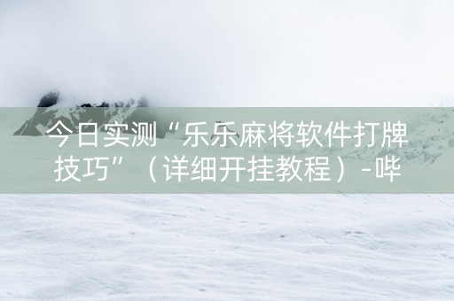 今日实测“乐乐麻将软件打牌技巧”（详细开挂教程）-哔哩哔哩