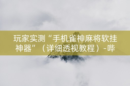 玩家实测“手机雀神麻将软挂神器”（详细透视教程）-哔哩哔哩