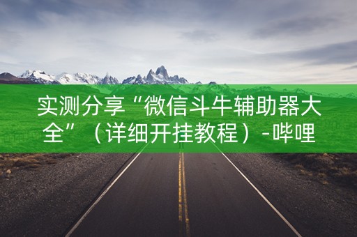 实测分享“微信斗牛辅助器大全”（详细开挂教程）-哔哩哔哩