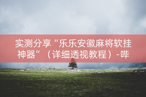 详细阅读:实测分享“乐乐安徽麻将软挂神器”(详细透视教程)-哔哩哔哩 实测分享“乐乐安徽麻将软挂神器”(详细透视教程)-哔哩哔哩