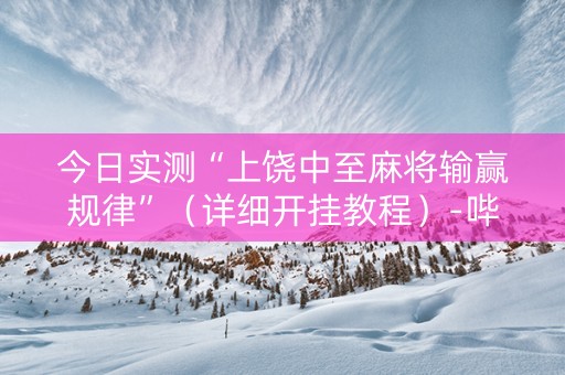 今日实测“上饶中至麻将输赢规律”（详细开挂教程）-哔哩哔哩