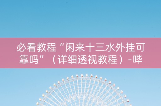 必看教程“闲来十三水外挂可靠吗”（详细透视教程）-哔哩哔哩