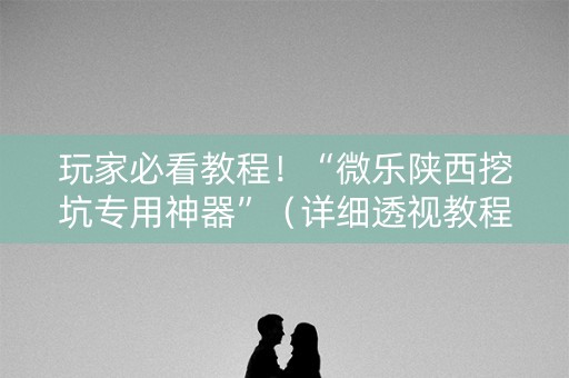 玩家必看教程！“微乐陕西挖坑专用神器”（详细透视教程）-哔哩哔哩