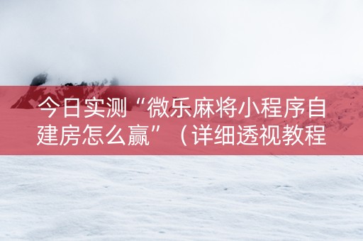 今日实测“微乐麻将小程序自建房怎么赢”（详细透视教程）-哔哩哔哩