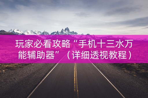 玩家必看攻略“手机十三水万能辅助器”（详细透视教程）-哔哩哔哩