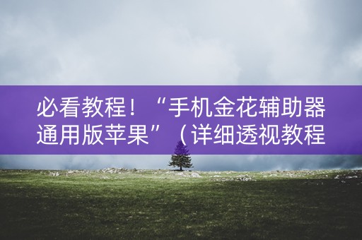 必看教程！“手机金花辅助器通用版苹果”（详细透视教程）-哔哩哔哩