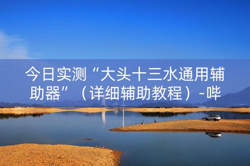 今日实测“大头十三水通用辅助器”（详细辅助教程）-哔哩哔哩