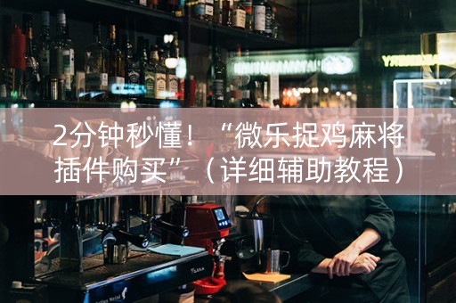 2分钟秒懂！“微乐捉鸡麻将插件购买”（详细辅助教程）-哔哩哔哩