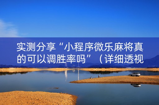实测分享“小程序微乐麻将真的可以调胜率吗”（详细透视教程）-哔哩哔哩