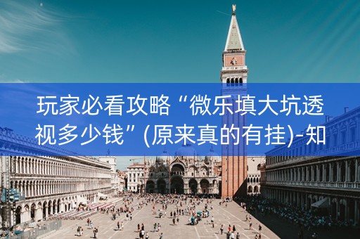 玩家必看攻略“微乐填大坑透视多少钱”(原来真的有挂)-知乎