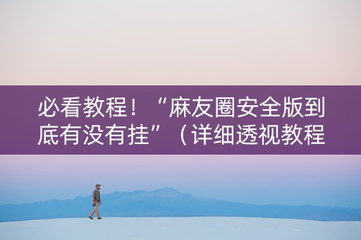 必看教程！“麻友圈安全版到底有没有挂”（详细透视教程）-哔哩哔哩