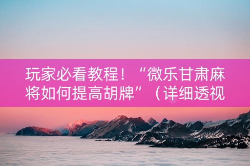 玩家必看教程！“微乐甘肃麻将如何提高胡牌”（详细透视教程）-哔哩哔哩