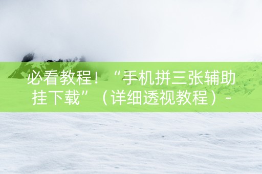 必看教程！“手机拼三张辅助挂下载”（详细透视教程）-哔哩哔哩