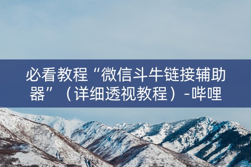 必看教程“微信斗牛链接辅助器”（详细透视教程）-哔哩哔哩