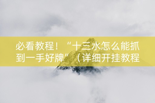 必看教程！“十三水怎么能抓到一手好牌”（详细开挂教程）-哔哩哔哩