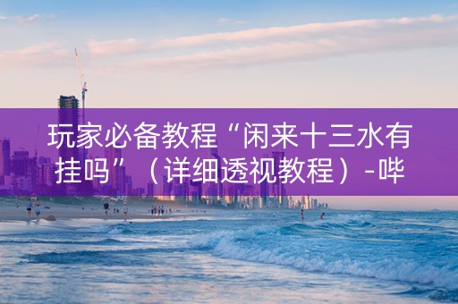 玩家必备教程“闲来十三水有挂吗”（详细透视教程）-哔哩哔哩