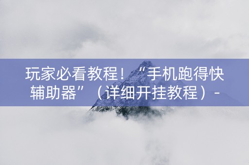 玩家必看教程！“手机跑得快辅助器”（详细开挂教程）-哔哩哔哩