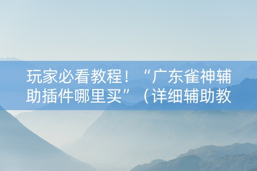 玩家必看教程！“广东雀神辅助插件哪里买”（详细辅助教程）-哔哩哔哩