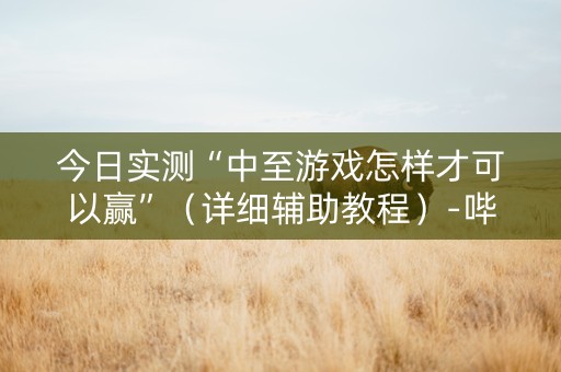 今日实测“中至游戏怎样才可以赢”（详细辅助教程）-哔哩哔哩