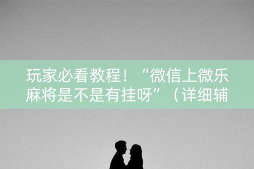 玩家必看教程！“微信上微乐麻将是不是有挂呀”（详细辅助教程）-哔哩哔哩