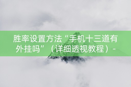 胜率设置方法“手机十三道有外挂吗”（详细透视教程）-哔哩哔哩