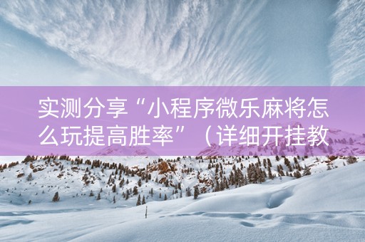 实测分享“小程序微乐麻将怎么玩提高胜率”（详细开挂教程）-哔哩哔哩