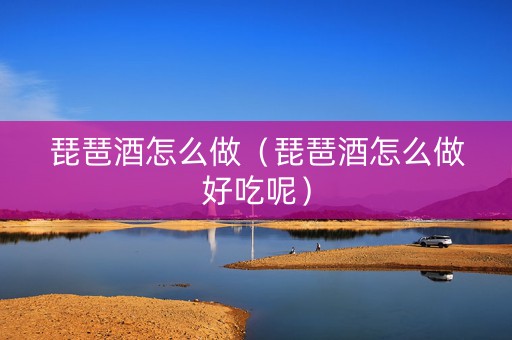 琵琶酒怎么做（琵琶酒怎么做好吃呢）