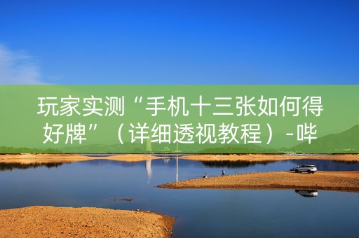 玩家实测“手机十三张如何得好牌”（详细透视教程）-哔哩哔哩