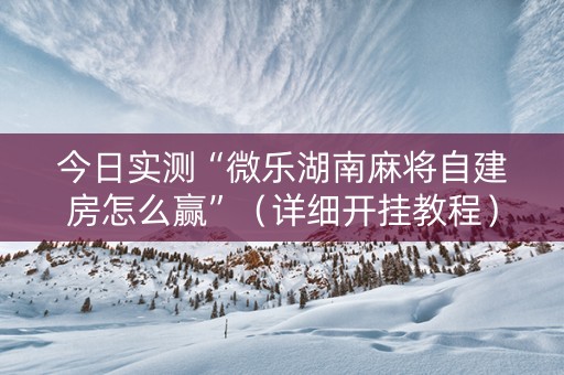 今日实测“微乐湖南麻将自建房怎么赢”（详细开挂教程）-哔哩哔哩