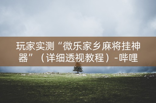 玩家实测“微乐家乡麻将挂神器”（详细透视教程）-哔哩哔哩