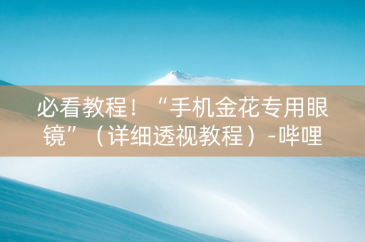 必看教程！“手机金花专用眼镜”（详细透视教程）-哔哩哔哩