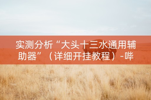 实测分析“大头十三水通用辅助器”（详细开挂教程）-哔哩哔哩