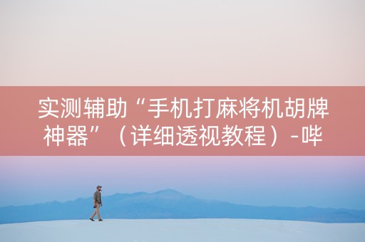 实测辅助“手机打麻将机胡牌神器”（详细透视教程）-哔哩哔哩