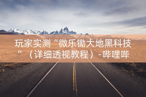 玩家实测“微乐锄大地黑科技”（详细透视教程）-哔哩哔哩