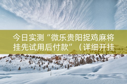 今日实测“微乐贵阳捉鸡麻将挂先试用后付款”（详细开挂教程）-哔哩哔哩