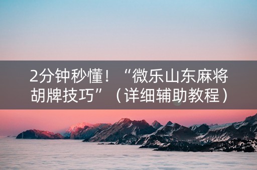 2分钟秒懂！“微乐山东麻将胡牌技巧”（详细辅助教程）-哔哩哔哩