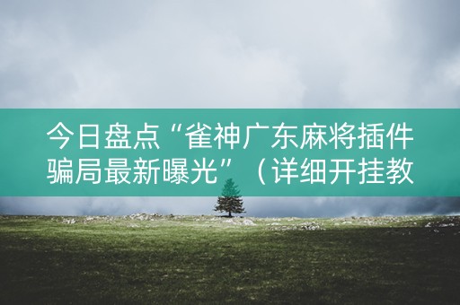 今日盘点“雀神广东麻将插件骗局最新曝光”（详细开挂教程）-哔哩哔哩