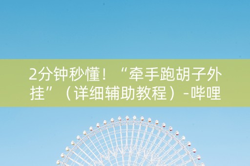 2分钟秒懂！“牵手跑胡子外挂”（详细辅助教程）-哔哩哔哩